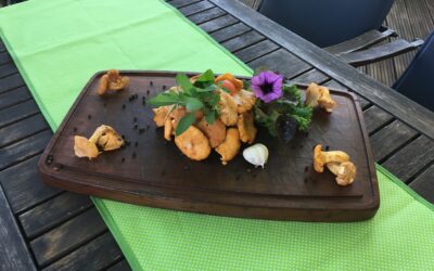 Die Pfifferlinge sind da!