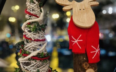 Hotel Pfennigskrug Blog 1 Ganze Gans genießen