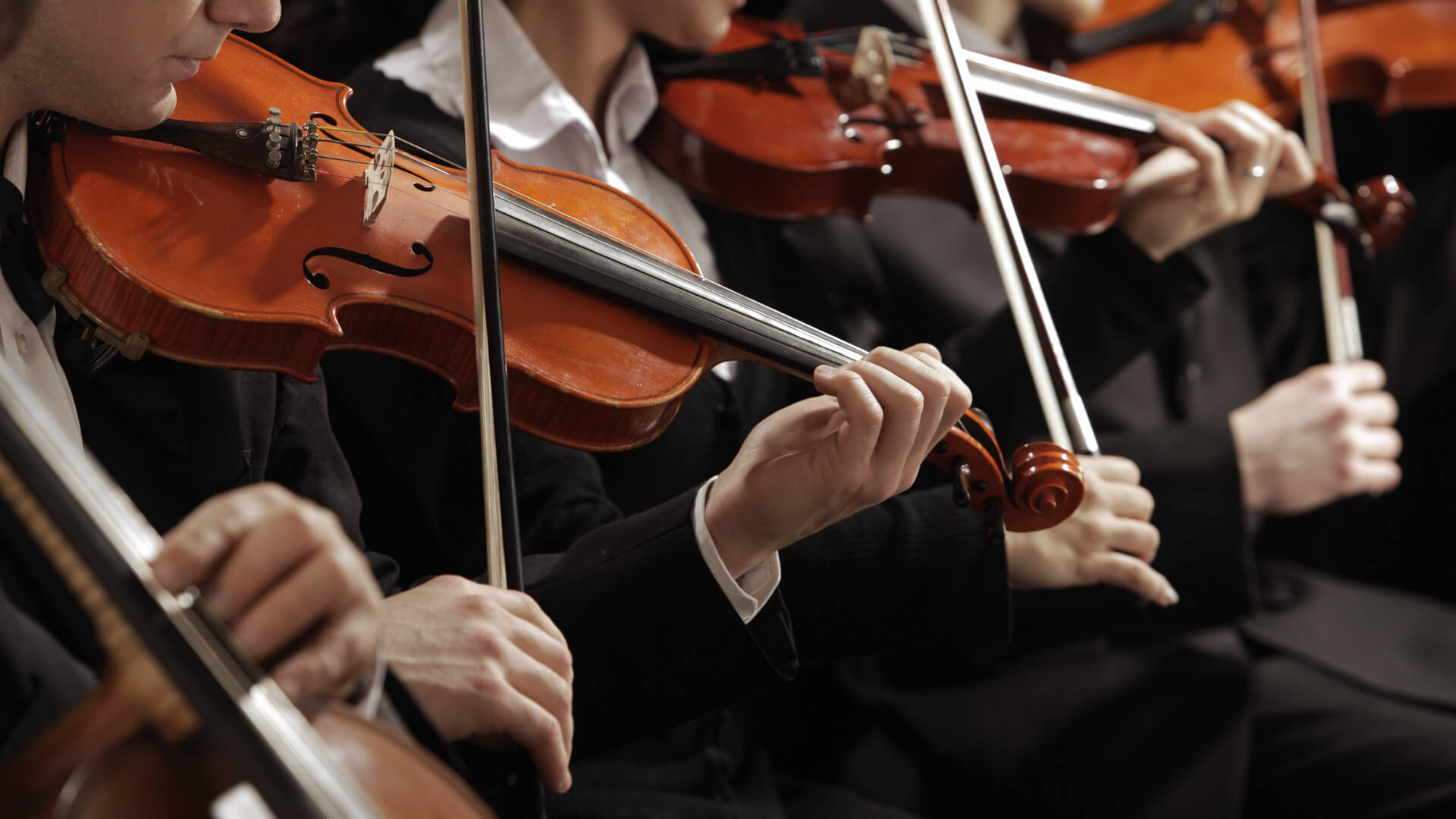 Nordwestdeutsch Philharmonie